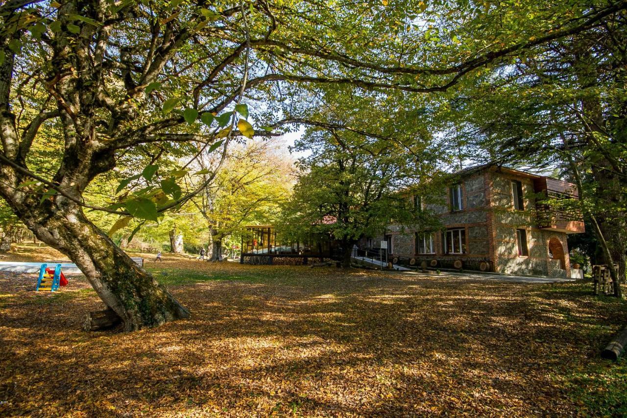 Wald Hotel Lagodekhi Zewnętrze zdjęcie