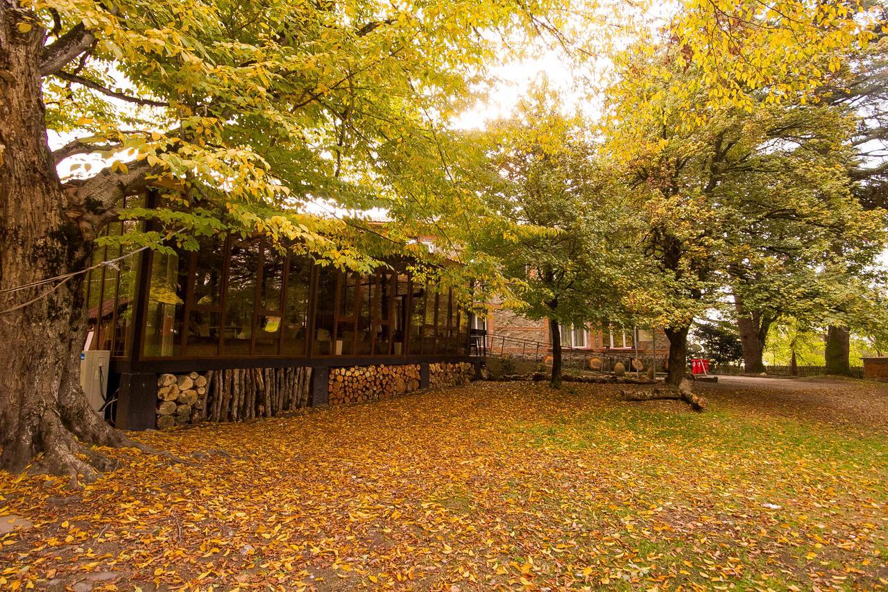 Wald Hotel Lagodekhi Zewnętrze zdjęcie